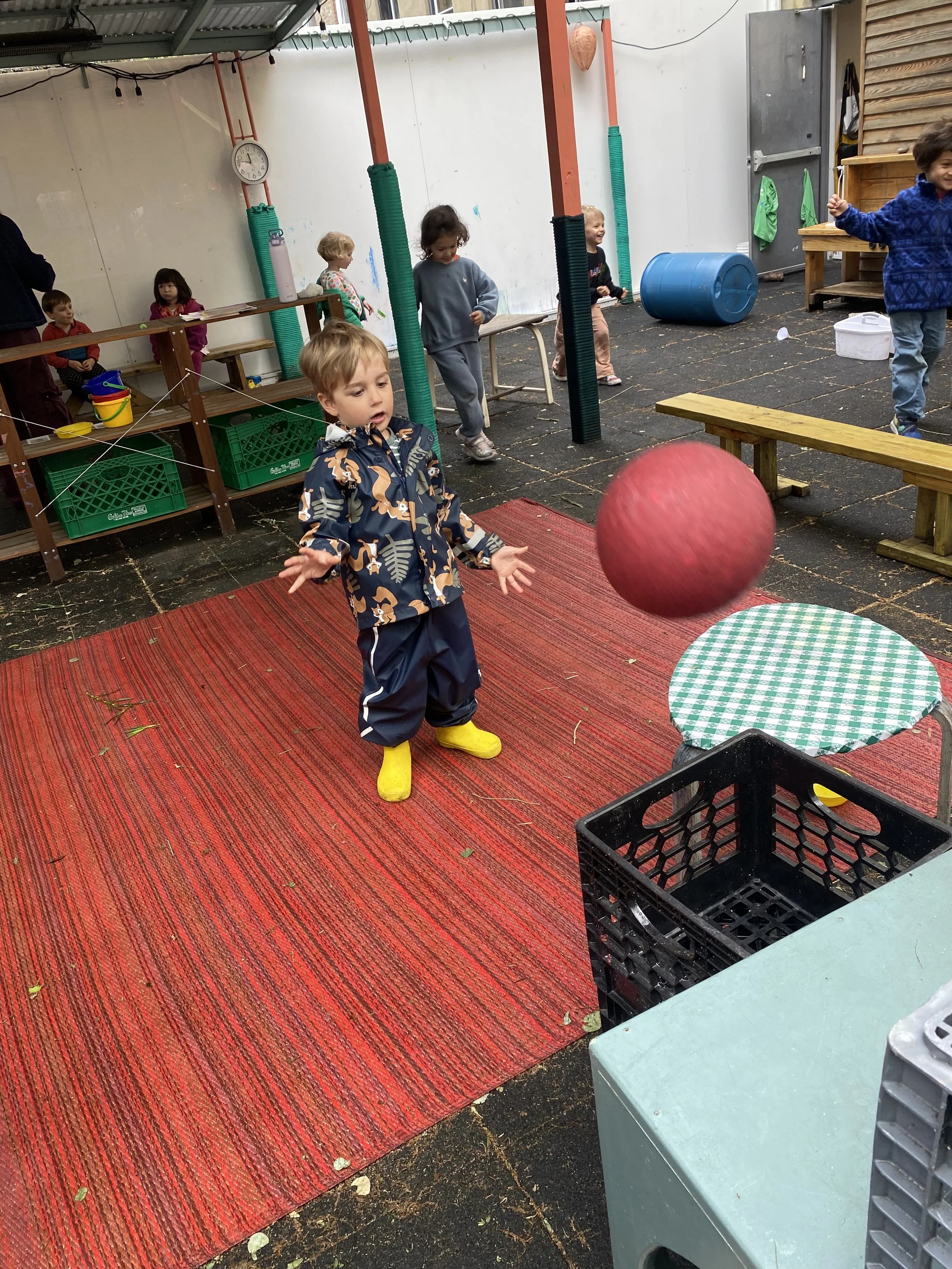IMG_0067.jpeg