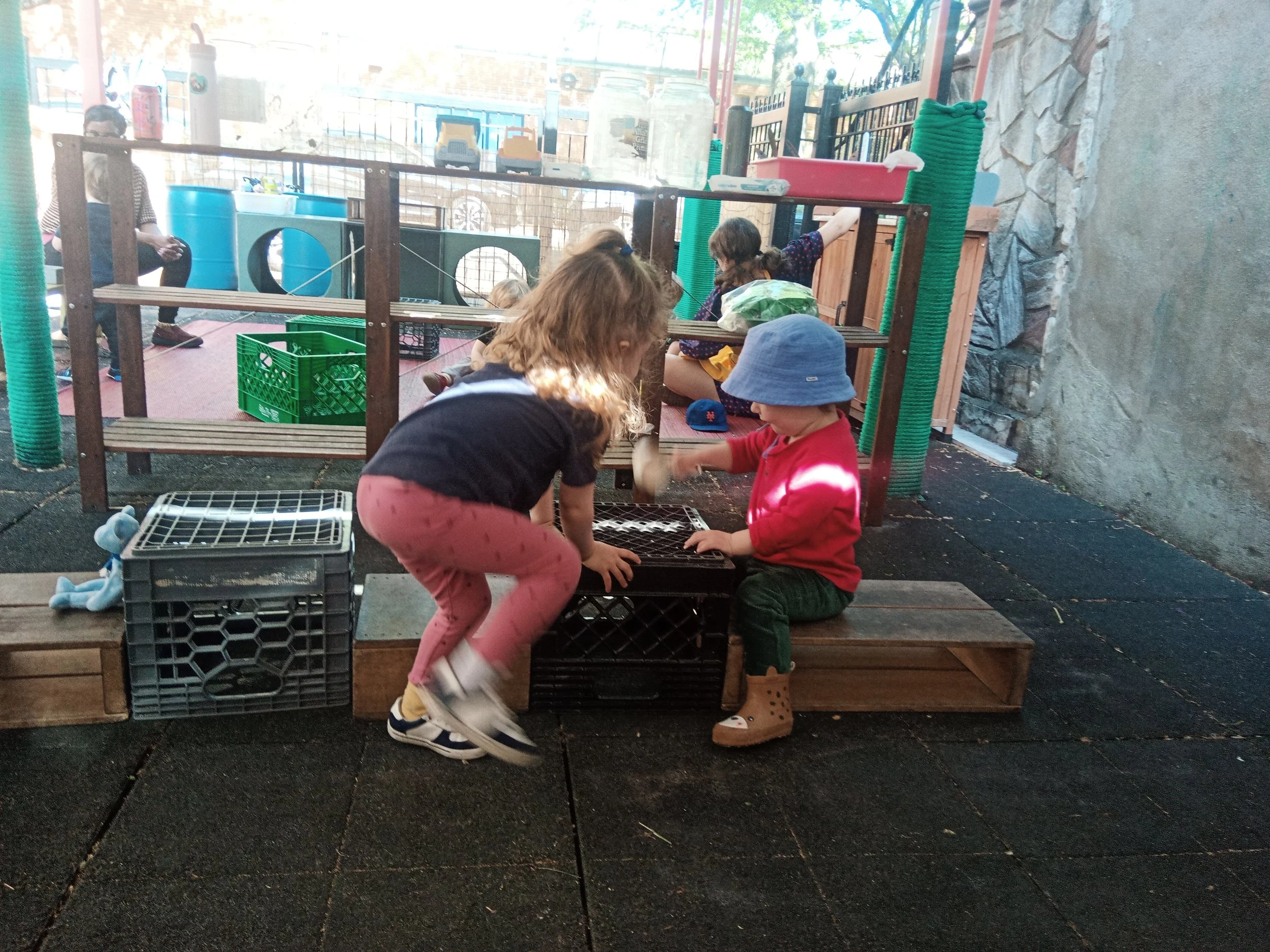 IMG_20260505_160743_977.jpg