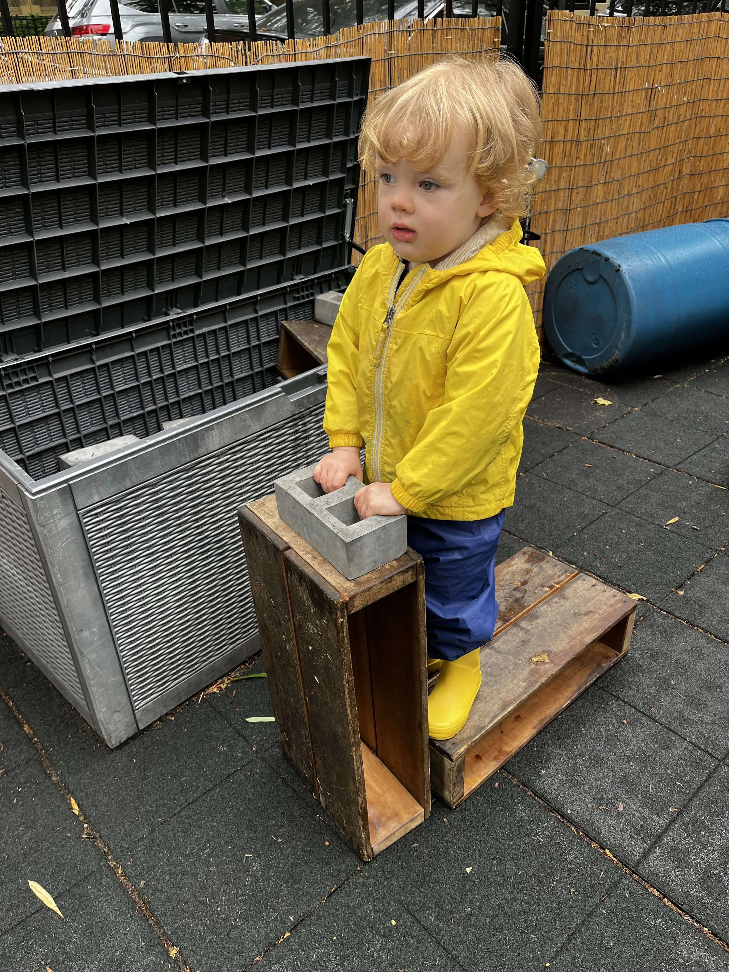IMG_0037.jpeg