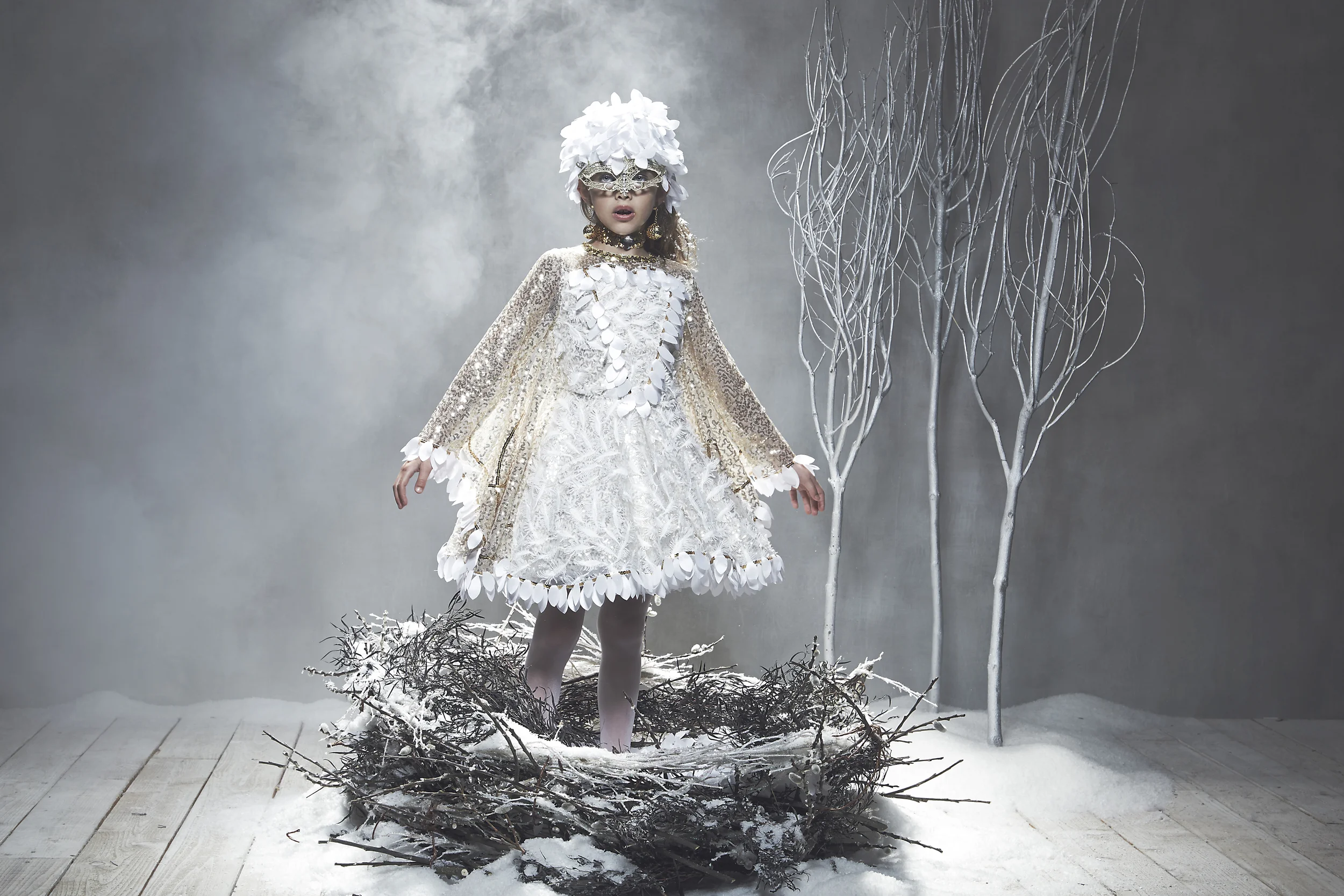 50707_Snow_Owl_W_15_071_Final.jpg