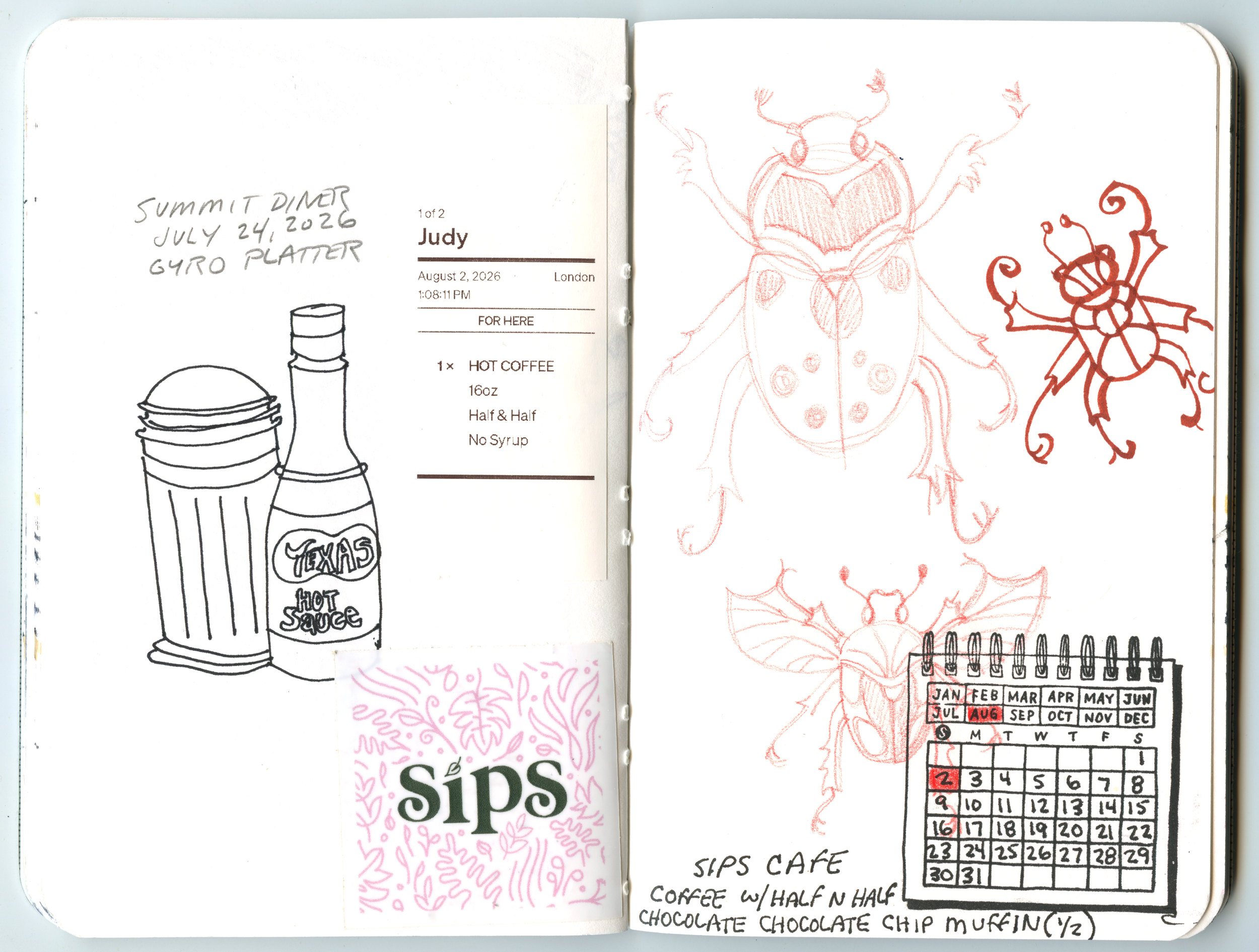 sketchbook page spread with sketches of beetles in red pencil