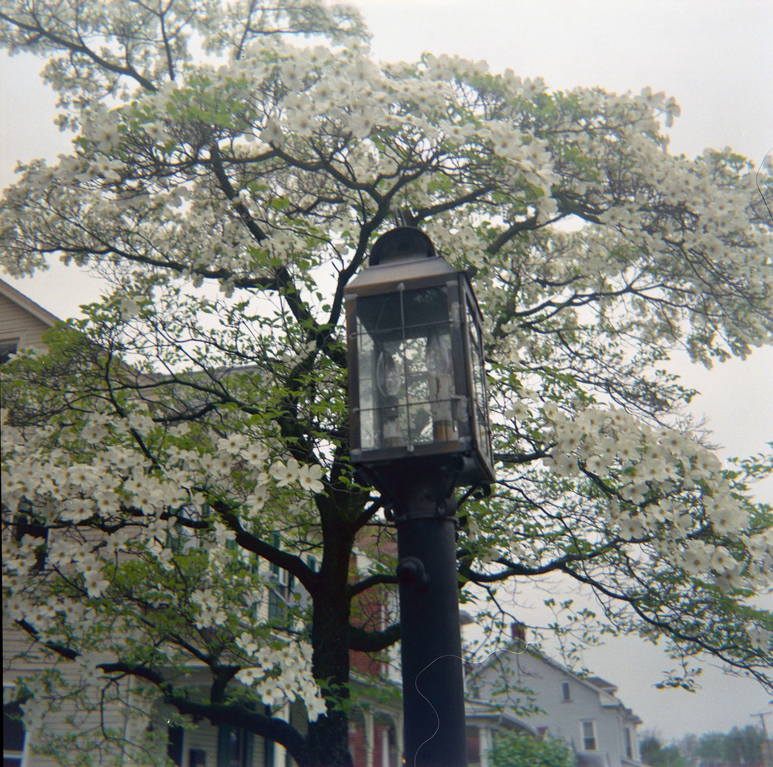 lightpost.jpg