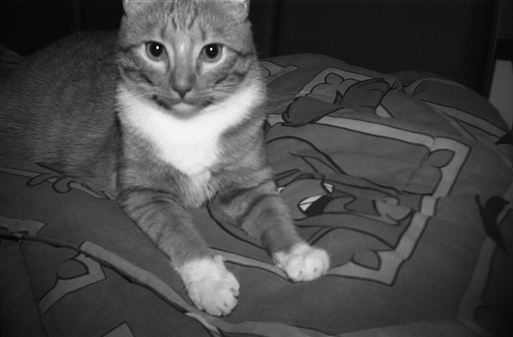 dali_portrait.jpg