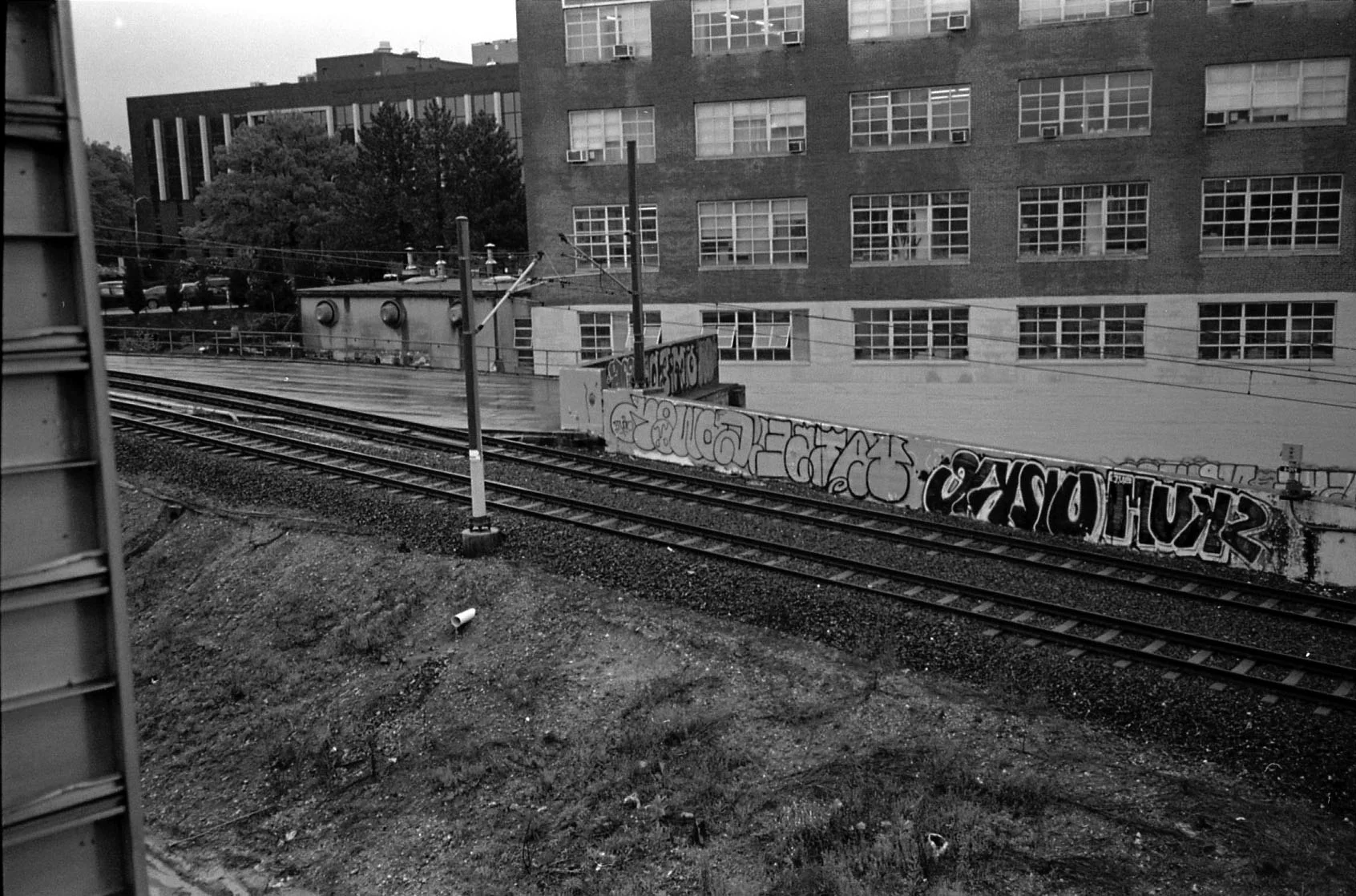 graffiti.jpg