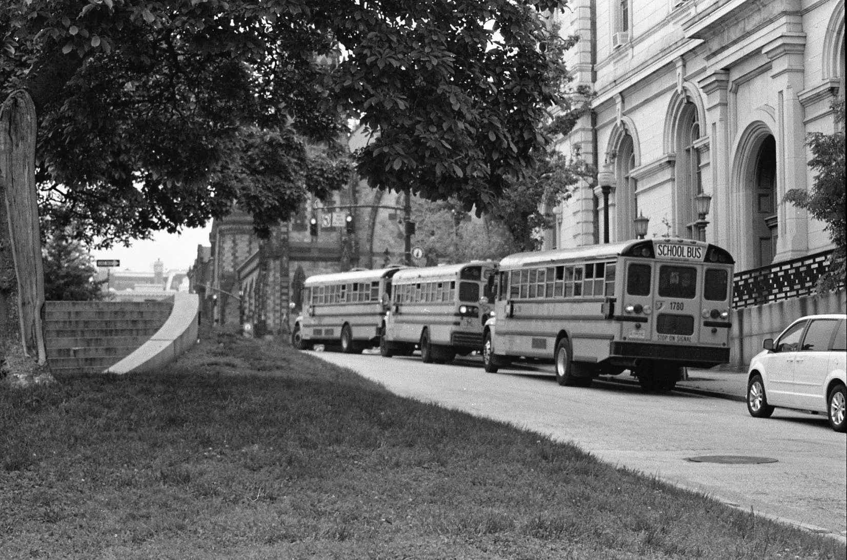 school_buses.jpg