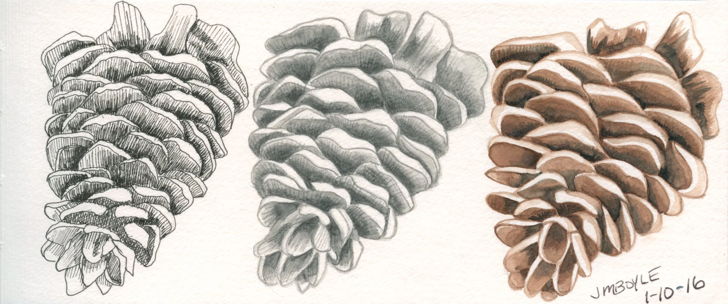 pinecone_3versions.jpg