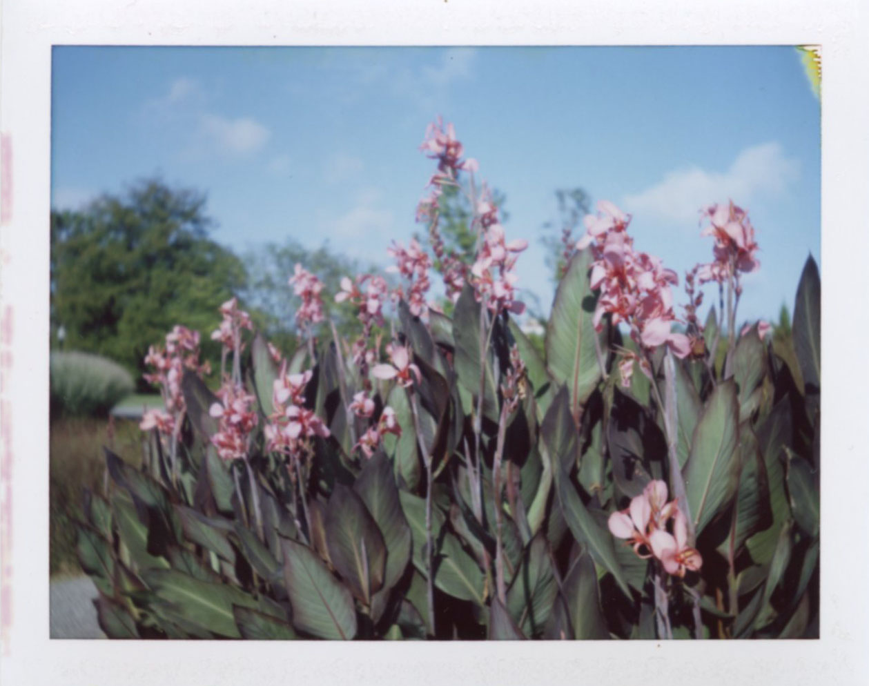 cylburn_arboretum_garden.jpg