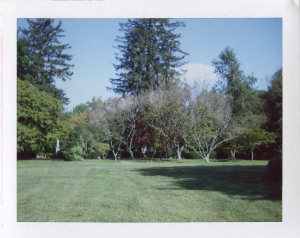 cylburn_trees.jpg