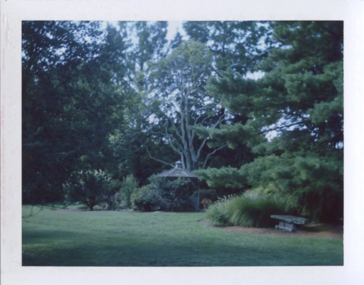 gazebo.jpg
