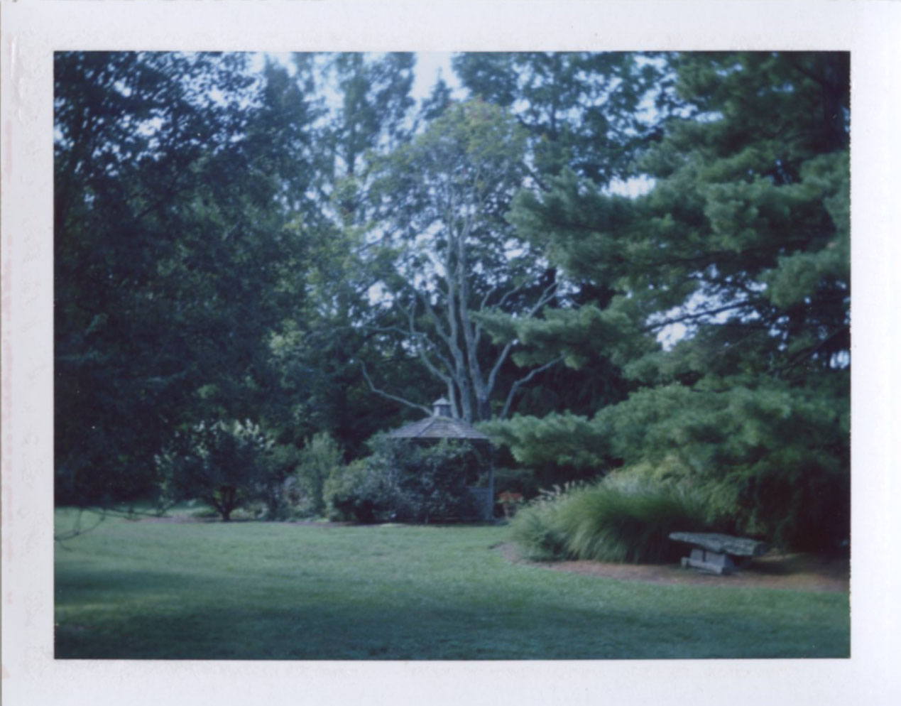 gazebo.jpg