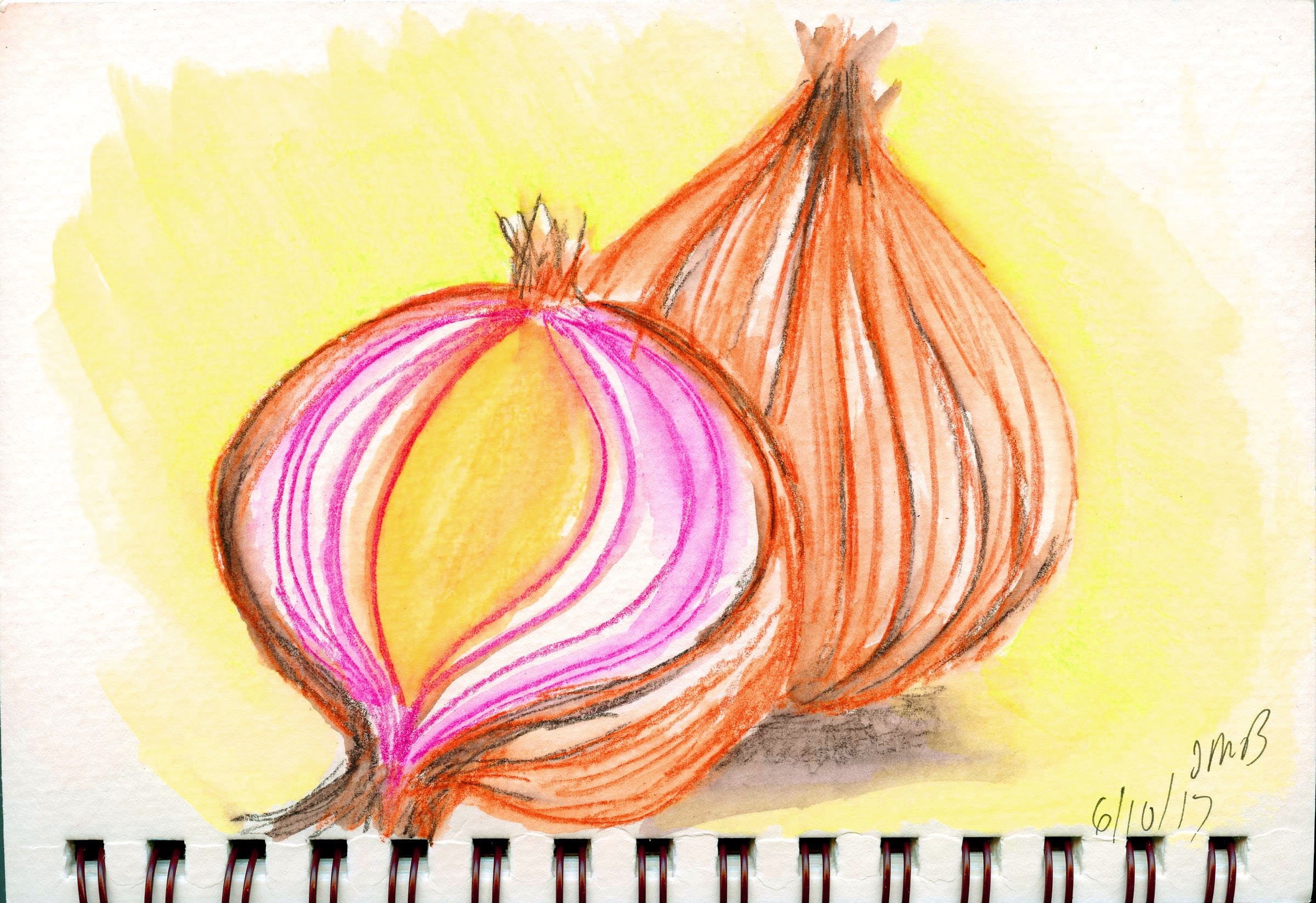 Half onion color Royalty Free Vector Image - VectorStock