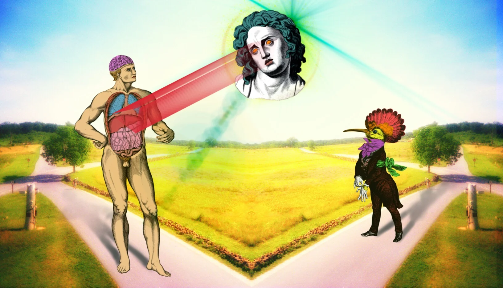 Gazing Upon the Internally Exposed