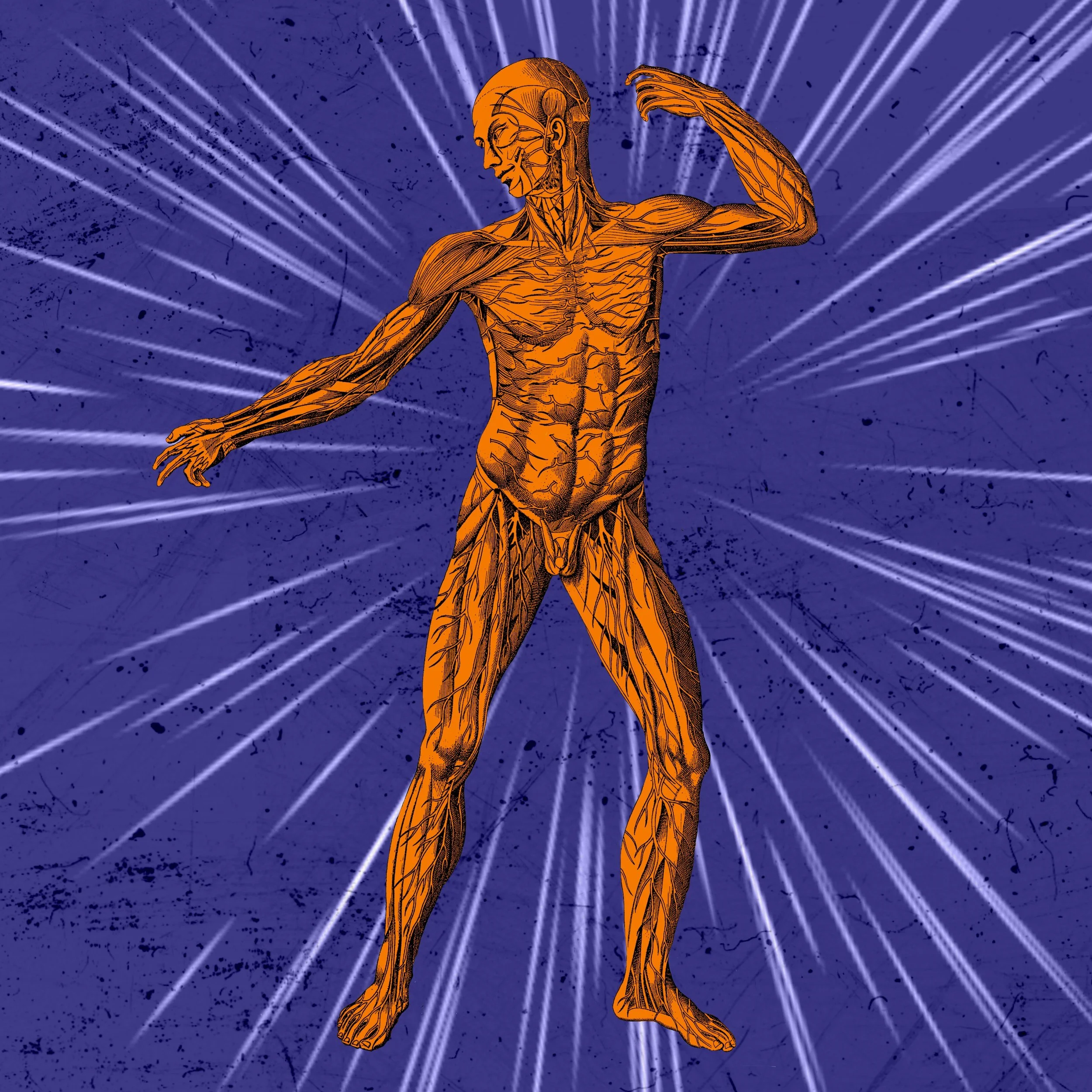 Anatomical Disco
