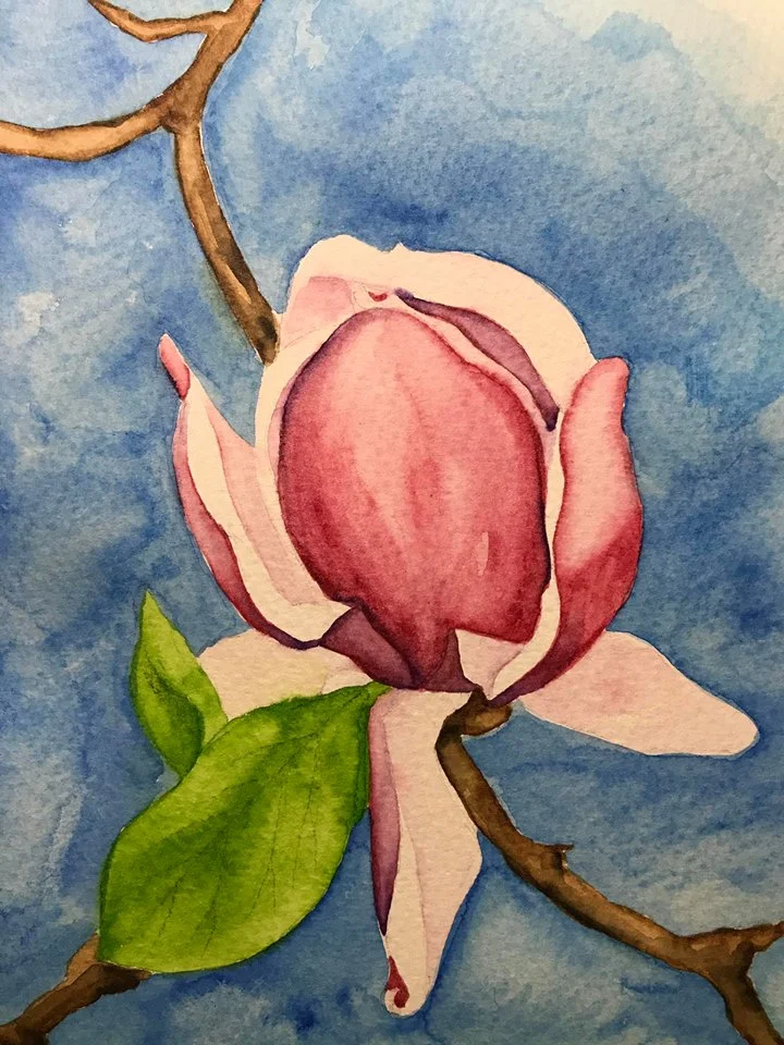 magnolia.jpg