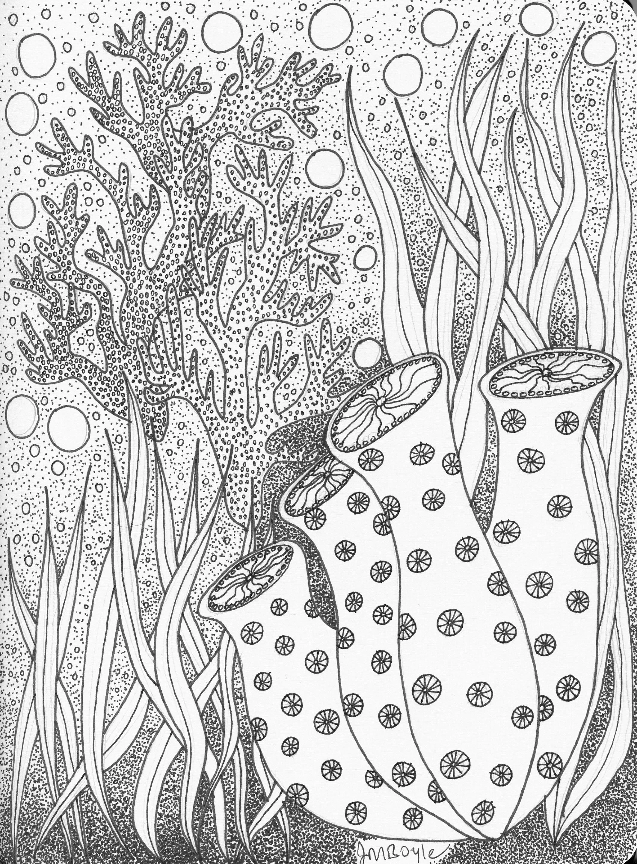 haeckel_inspired_ink_drawing.jpg