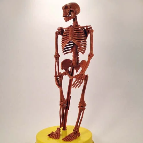 neanderthal.jpg