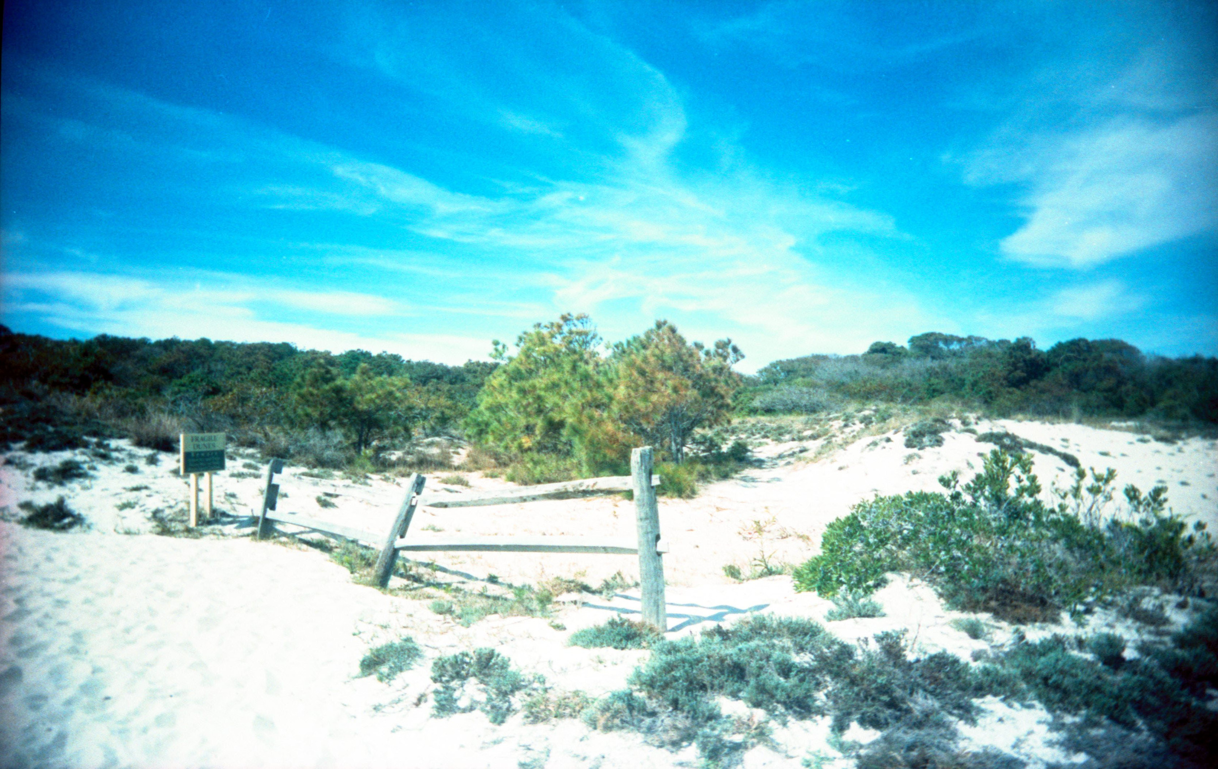 assateague_island.jpeg