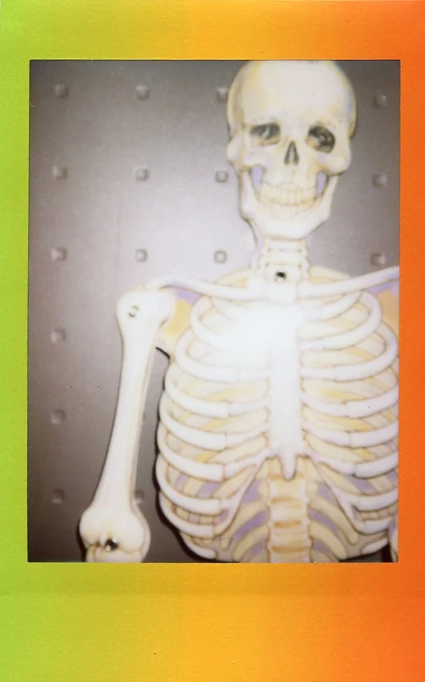 skeleton.jpg