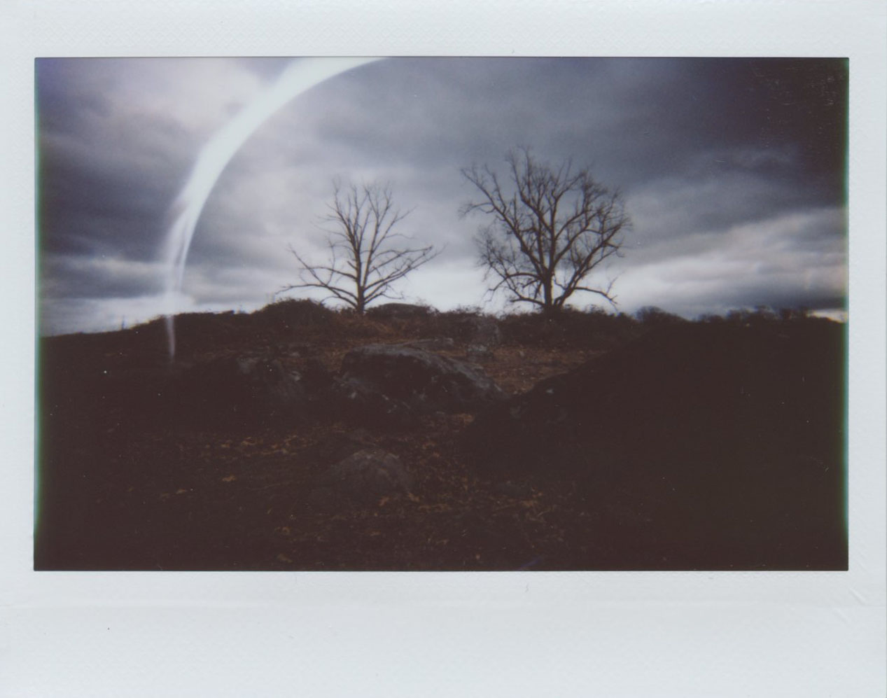 two_trees_gettysburg.jpg