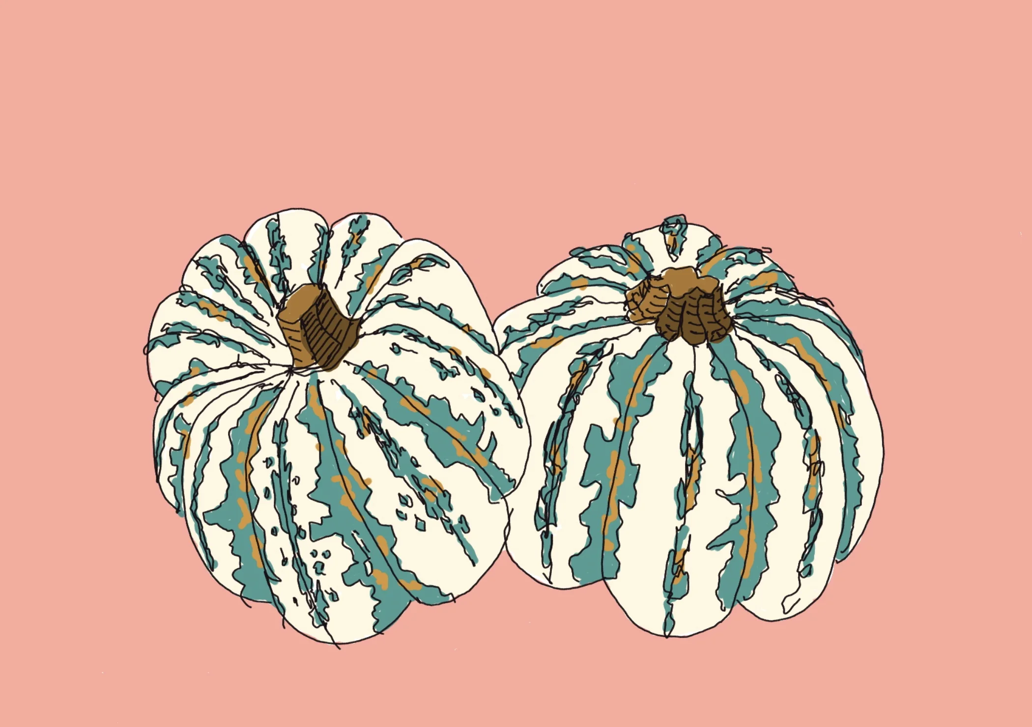 Carnival Squash