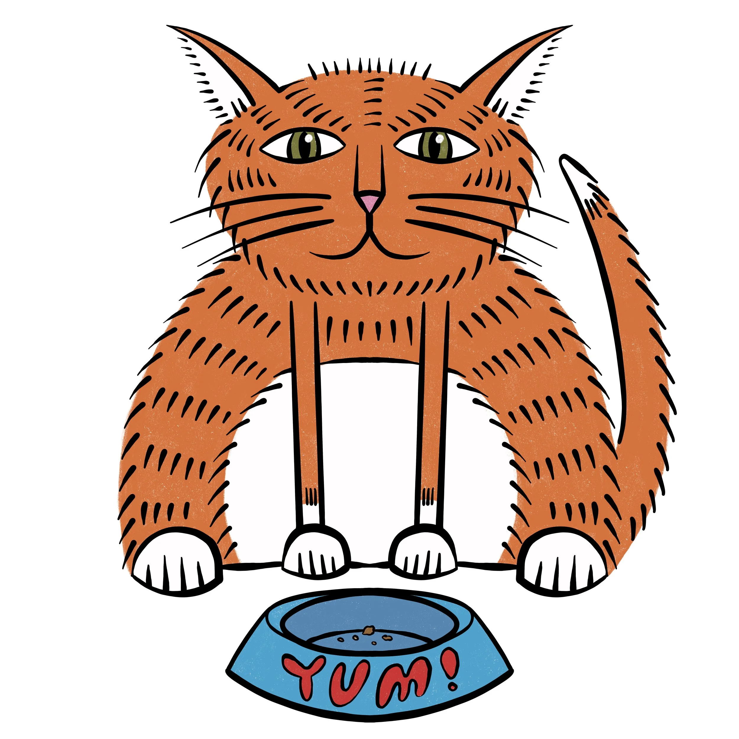 Orange_Tabby_Kitty 301 copy.jpg