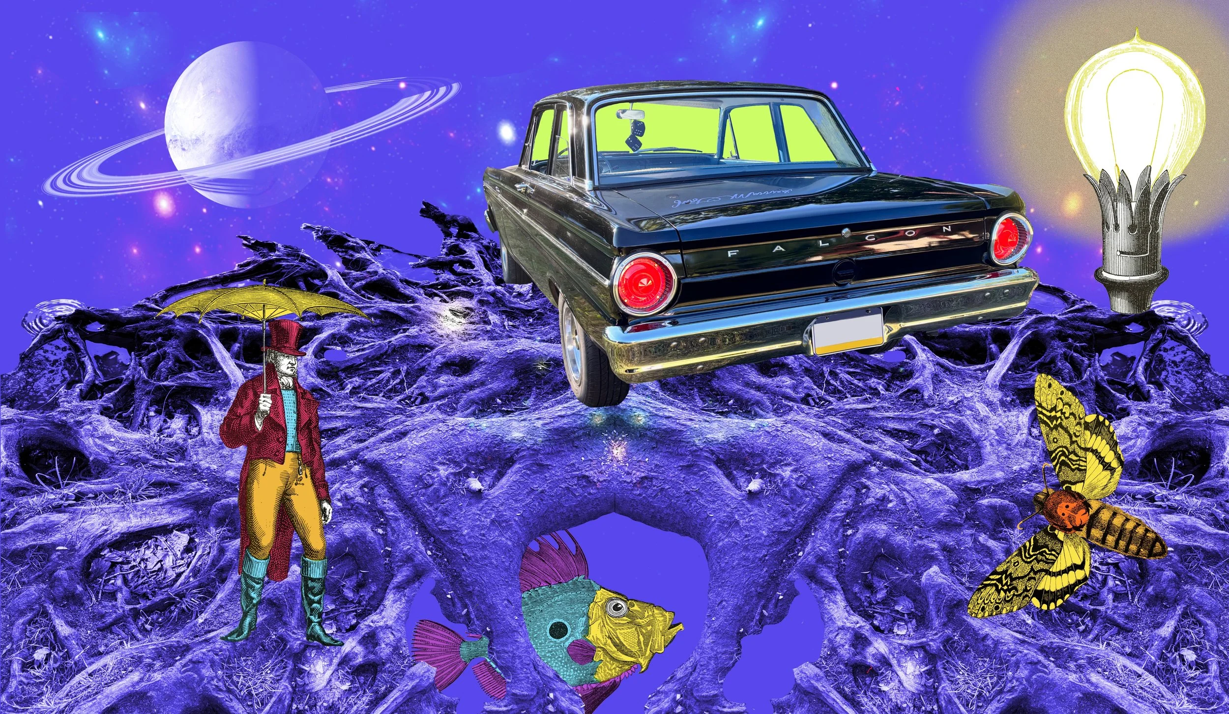 Searching for John Dory