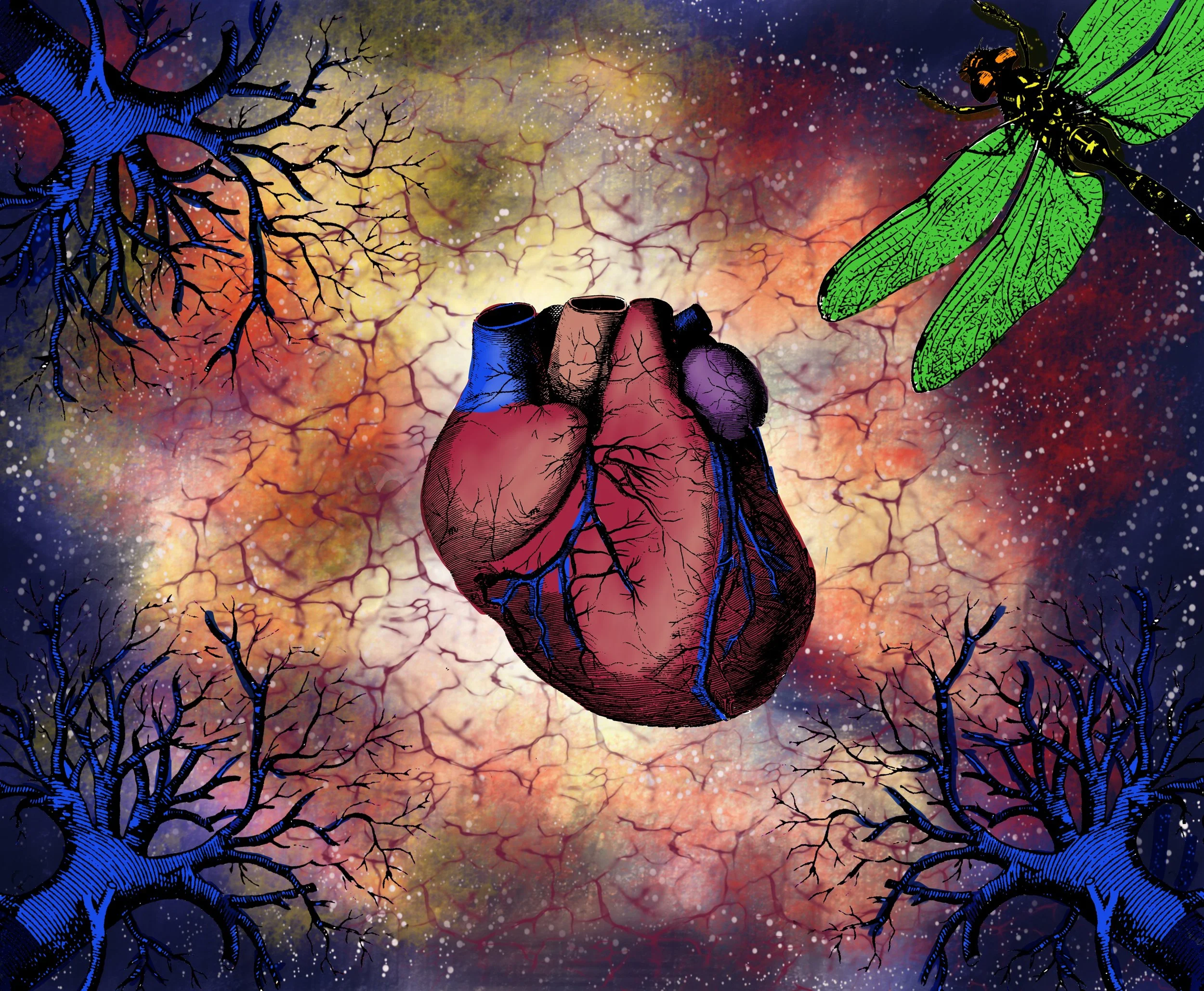 The Heart of Universe