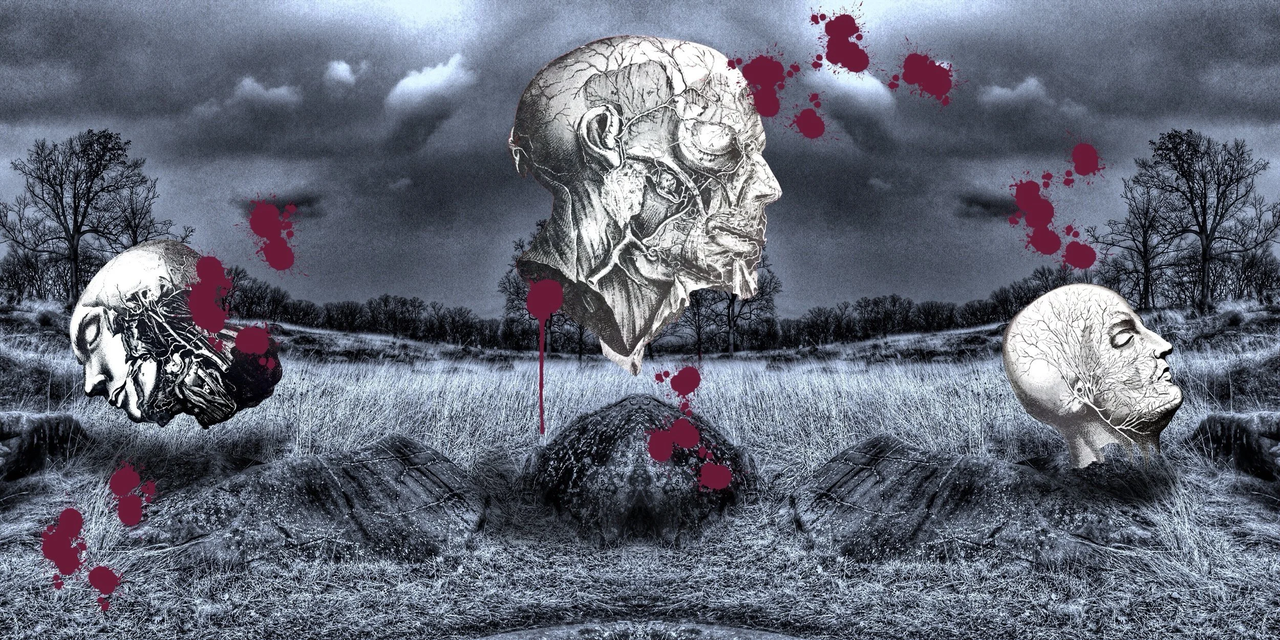 Three Heads in a Field