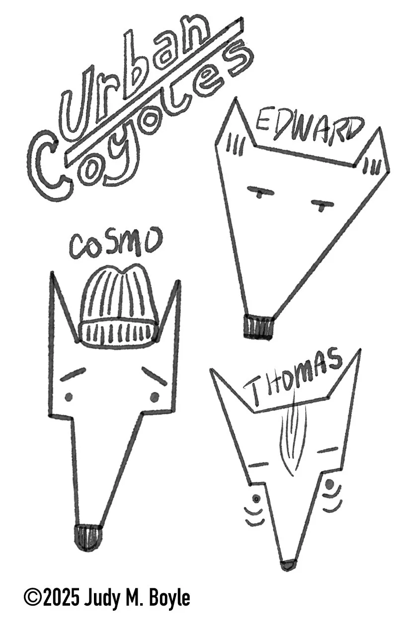 urban coyotes zine cover.jpg
