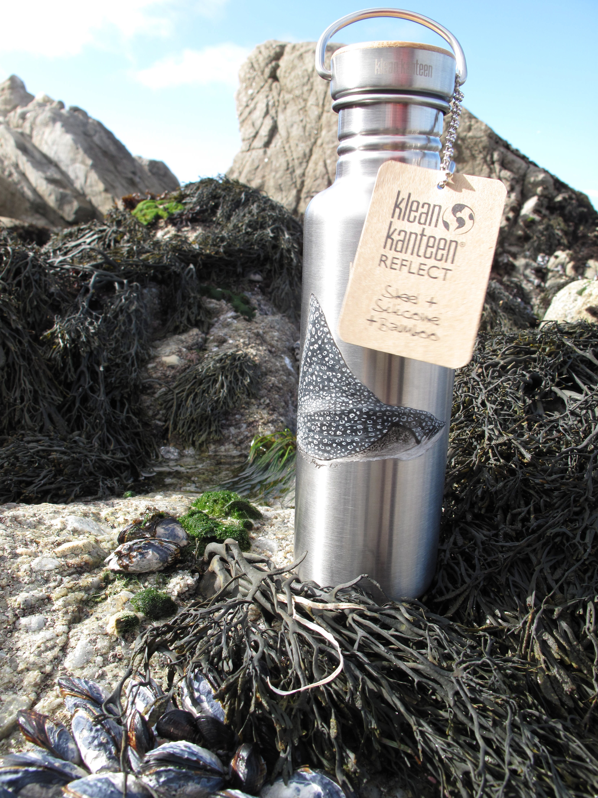  Spotted Eagle Ray  Aetobatus narinari   Acrylic on a Kleen Kanteen bottle for Coral Reef Alliance. 