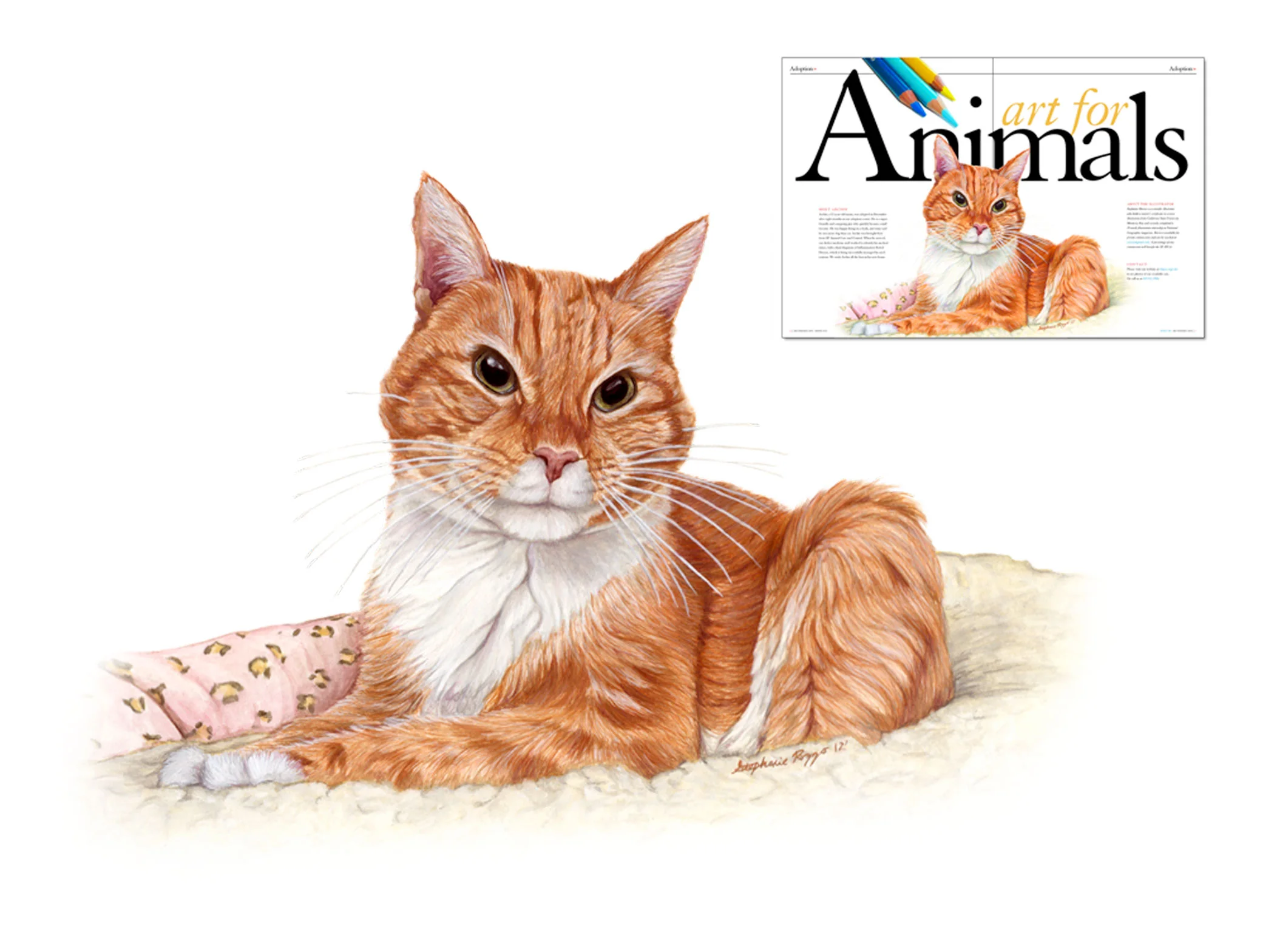ARCHIE_spca.jpg