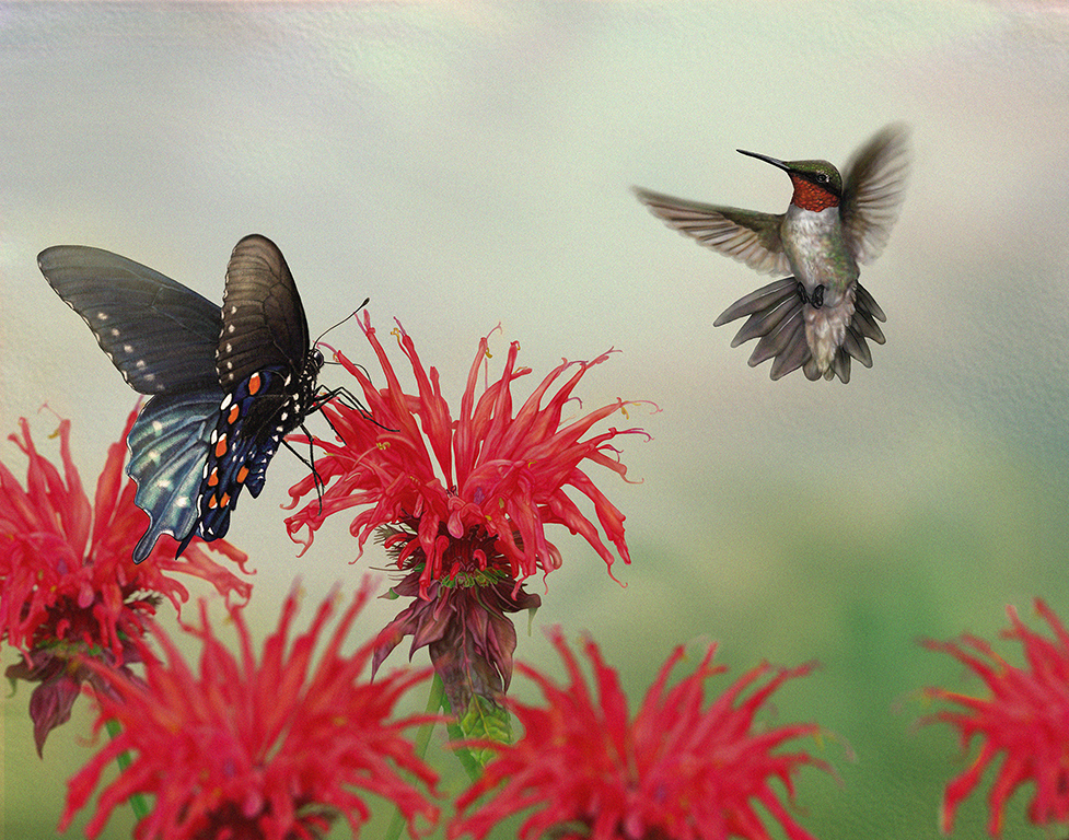 Scarlet Pollinators