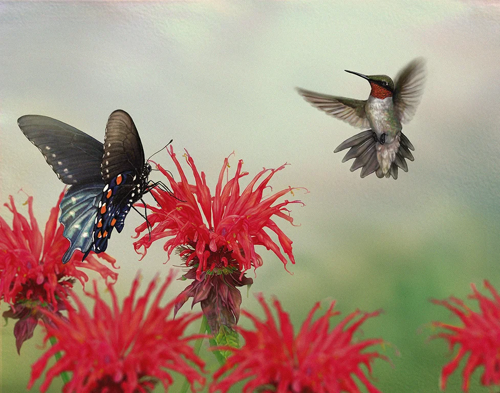 Scarlet Pollinators