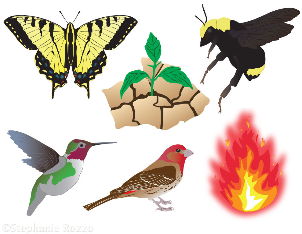 Native Plant Garden Icons