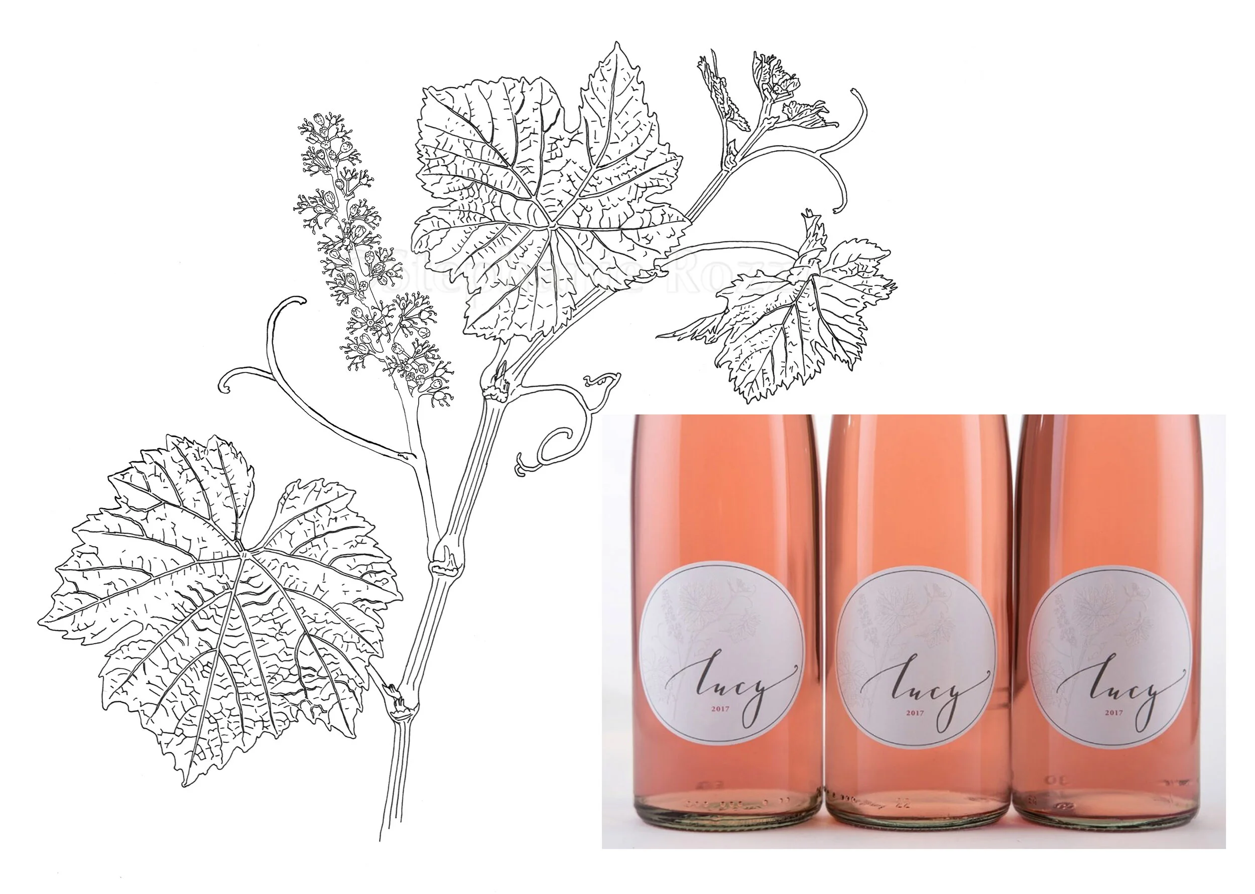 Original Art Created in Pen & Ink. Art embossed onto the 2017 wine labels.