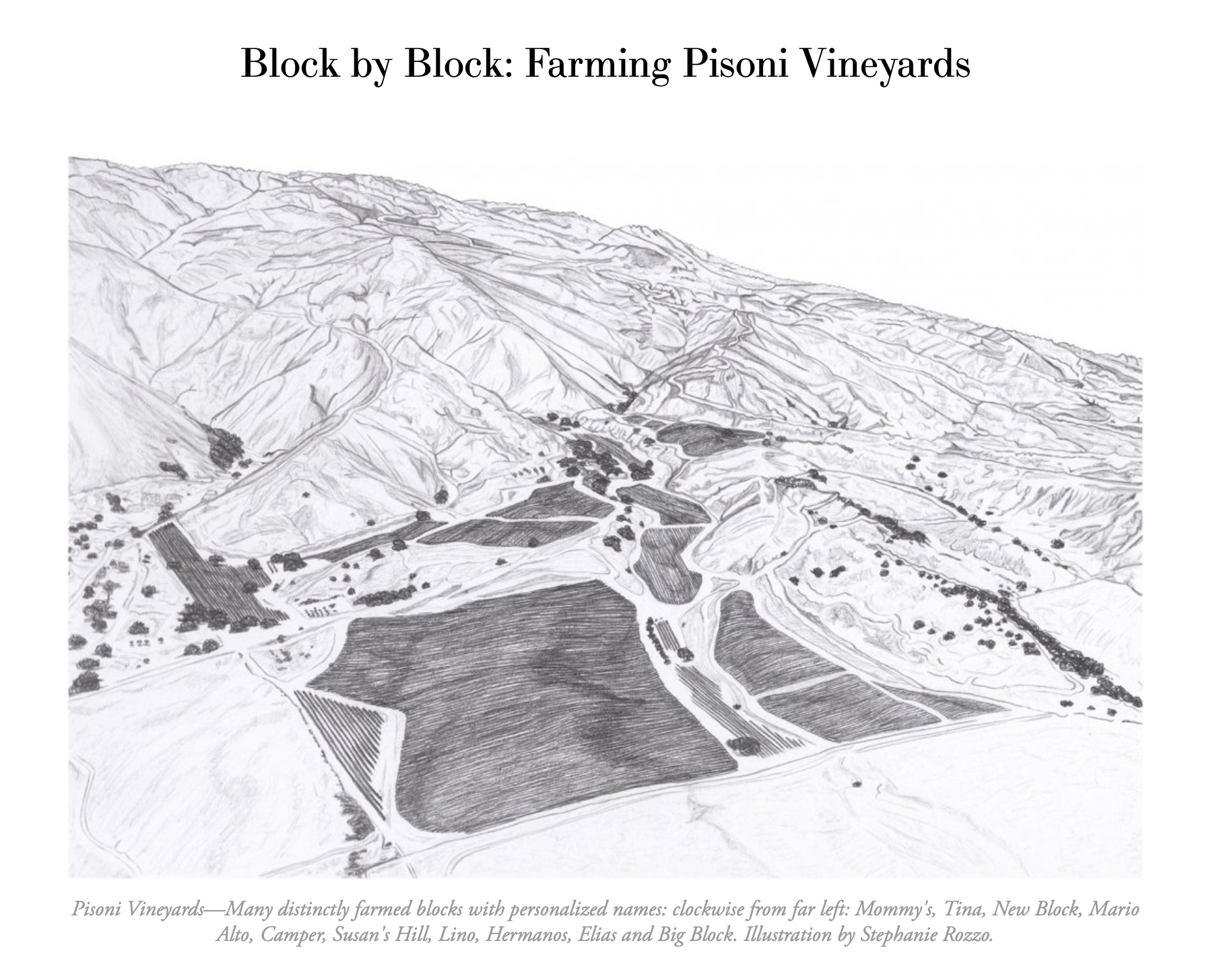 blocks image from web.png
