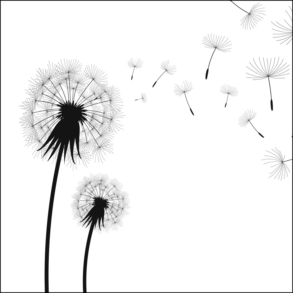 DRAFT FREEECO-FLUE SYSTEM