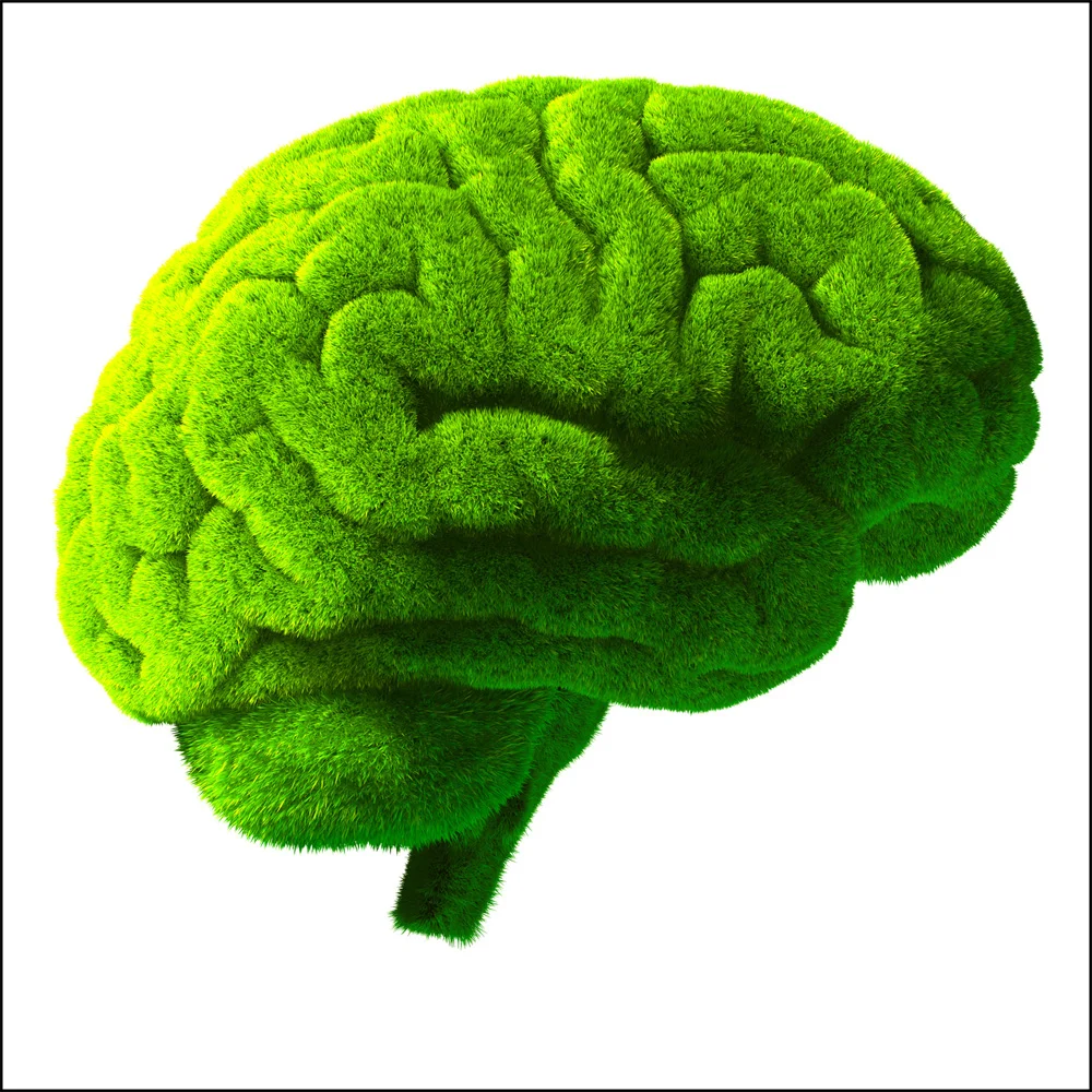 DESIGNED FOR LOW EMISSIONS