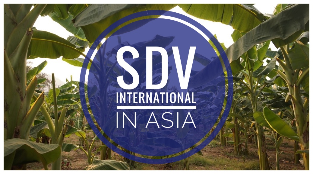 SDV INTERNATIONAL Development Engagements in Asia