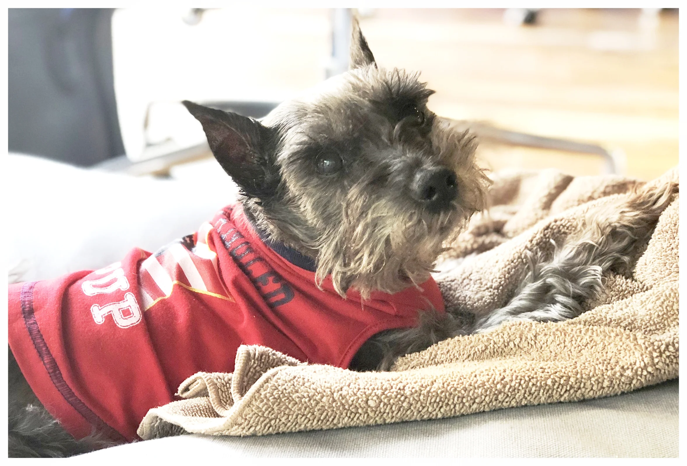SDV INTERNATIONAL Chief Morale Officer Promotes Health and Wellness