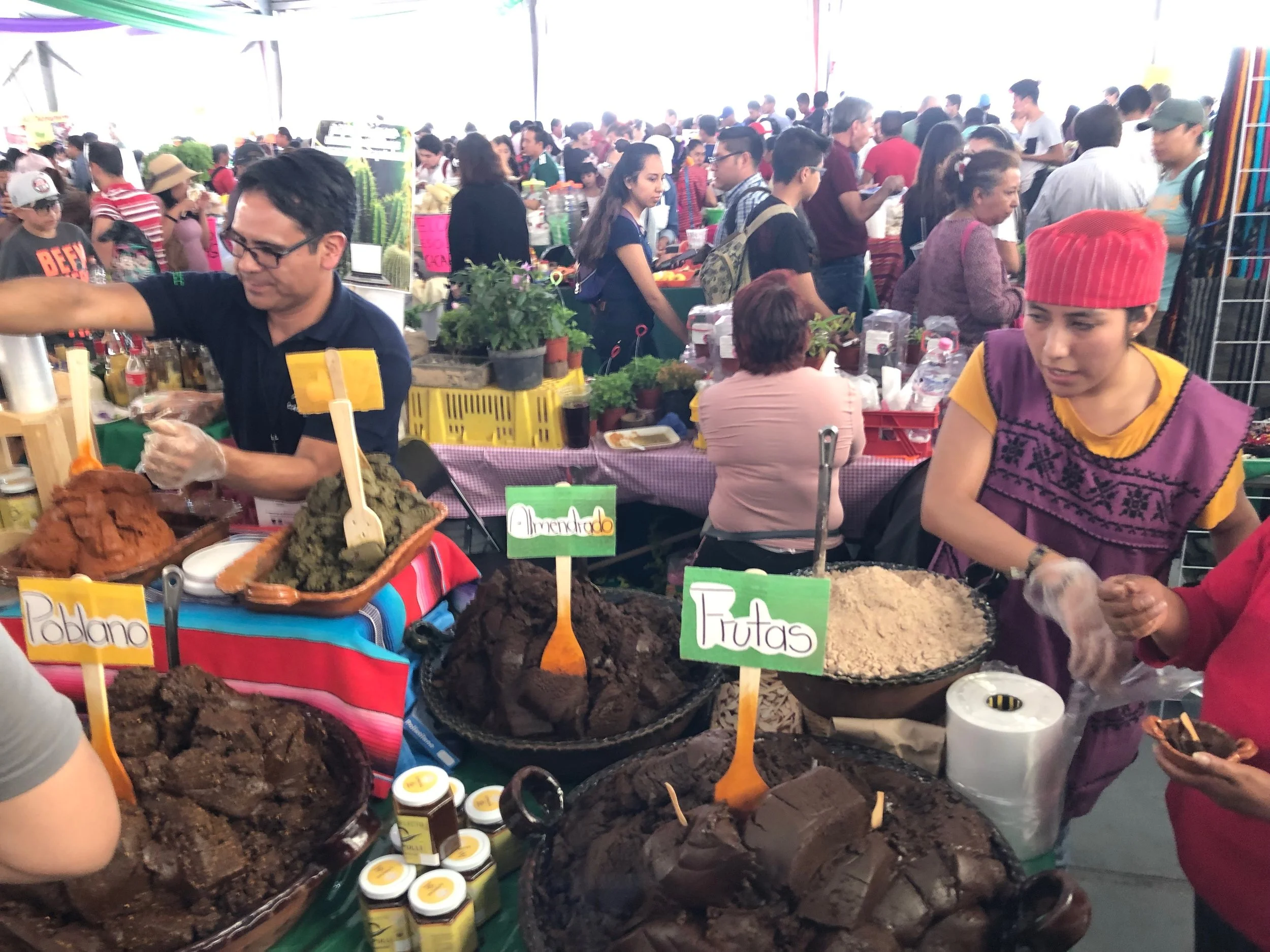 SDV INTERNATIONAL PARTICIPATES IN TRADE AND CULTURAL SUMMIT IN MEXICO CITY