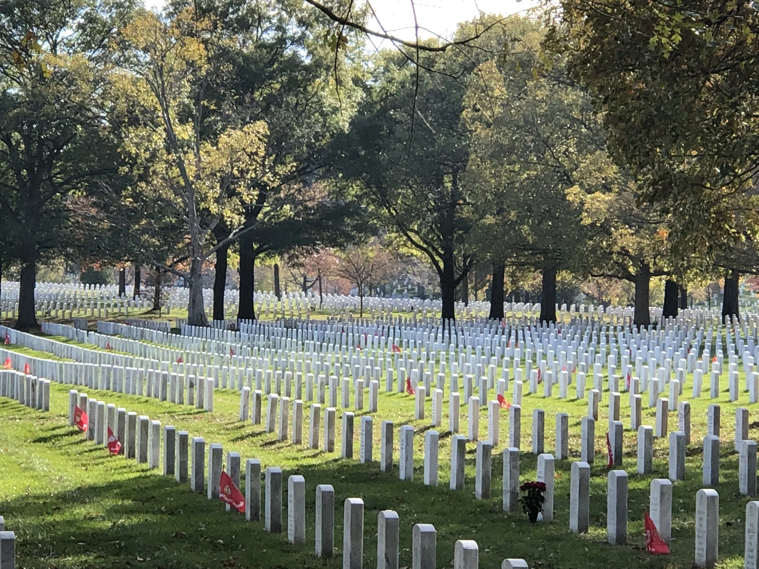 SDV INTERNATIONAL CELEBRATES VETERANS DAY