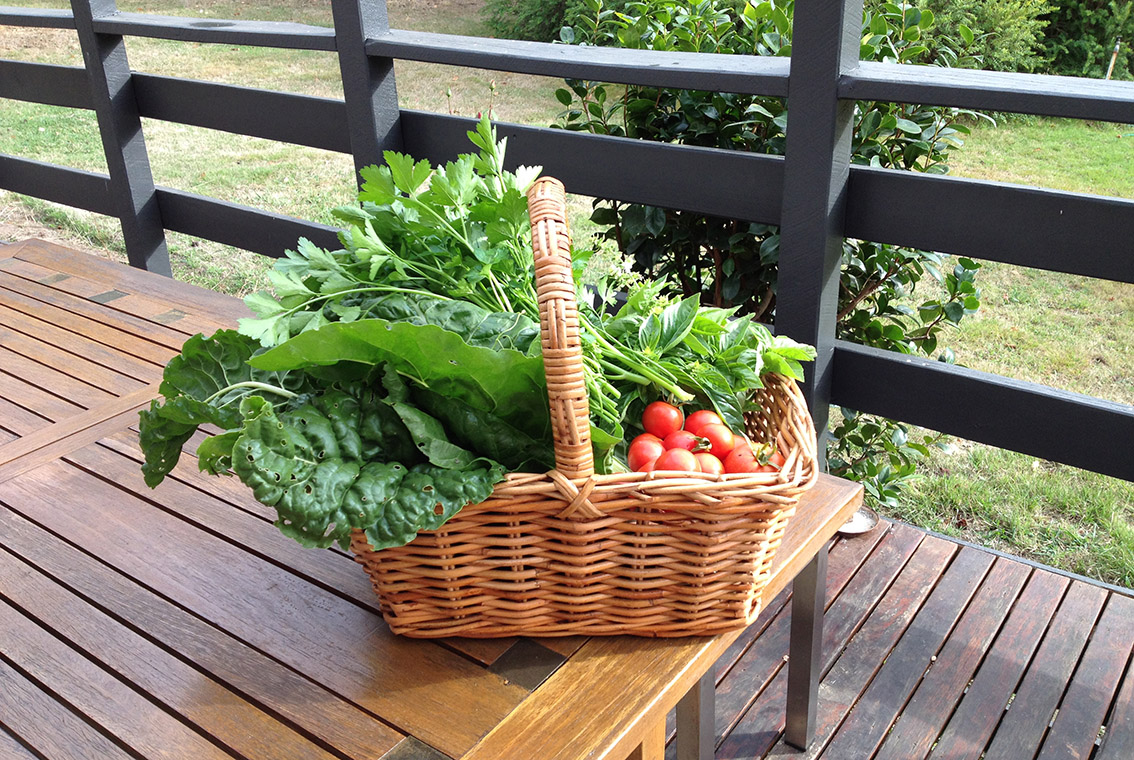 From the garden