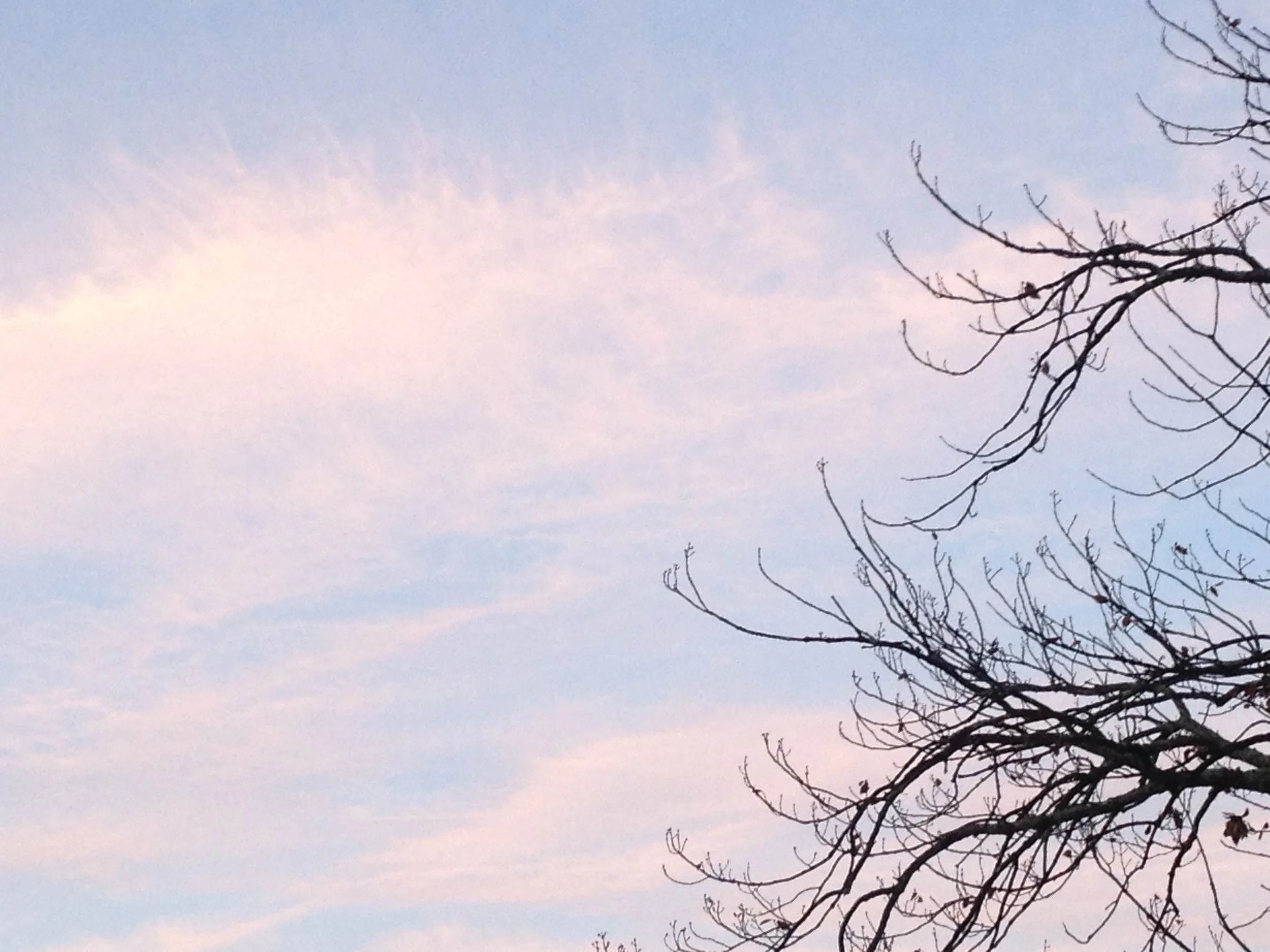 Somatic Wisdom: Psychophysical Integration &amp; Professional Practice