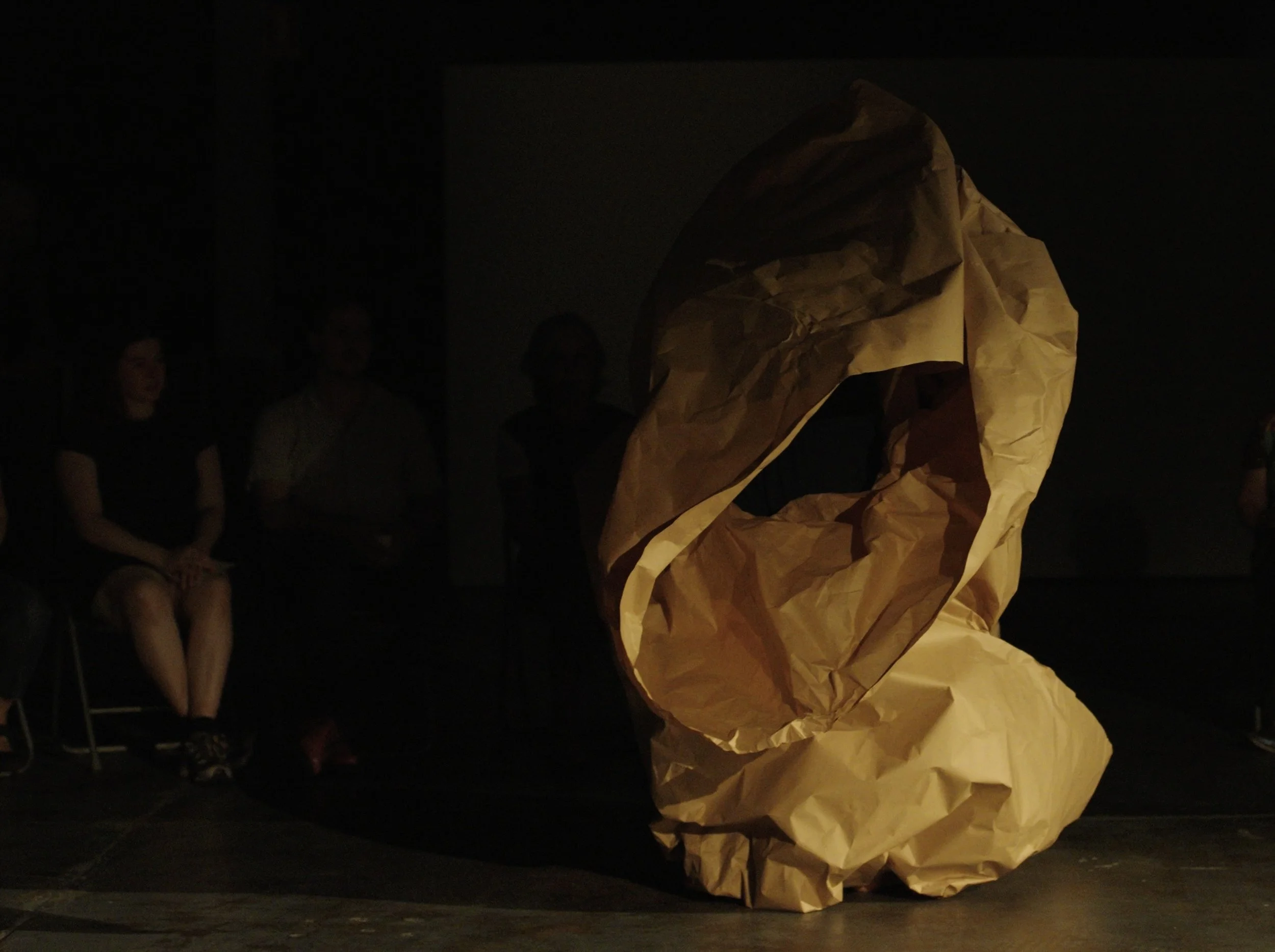 terra installation - International Film Festivals