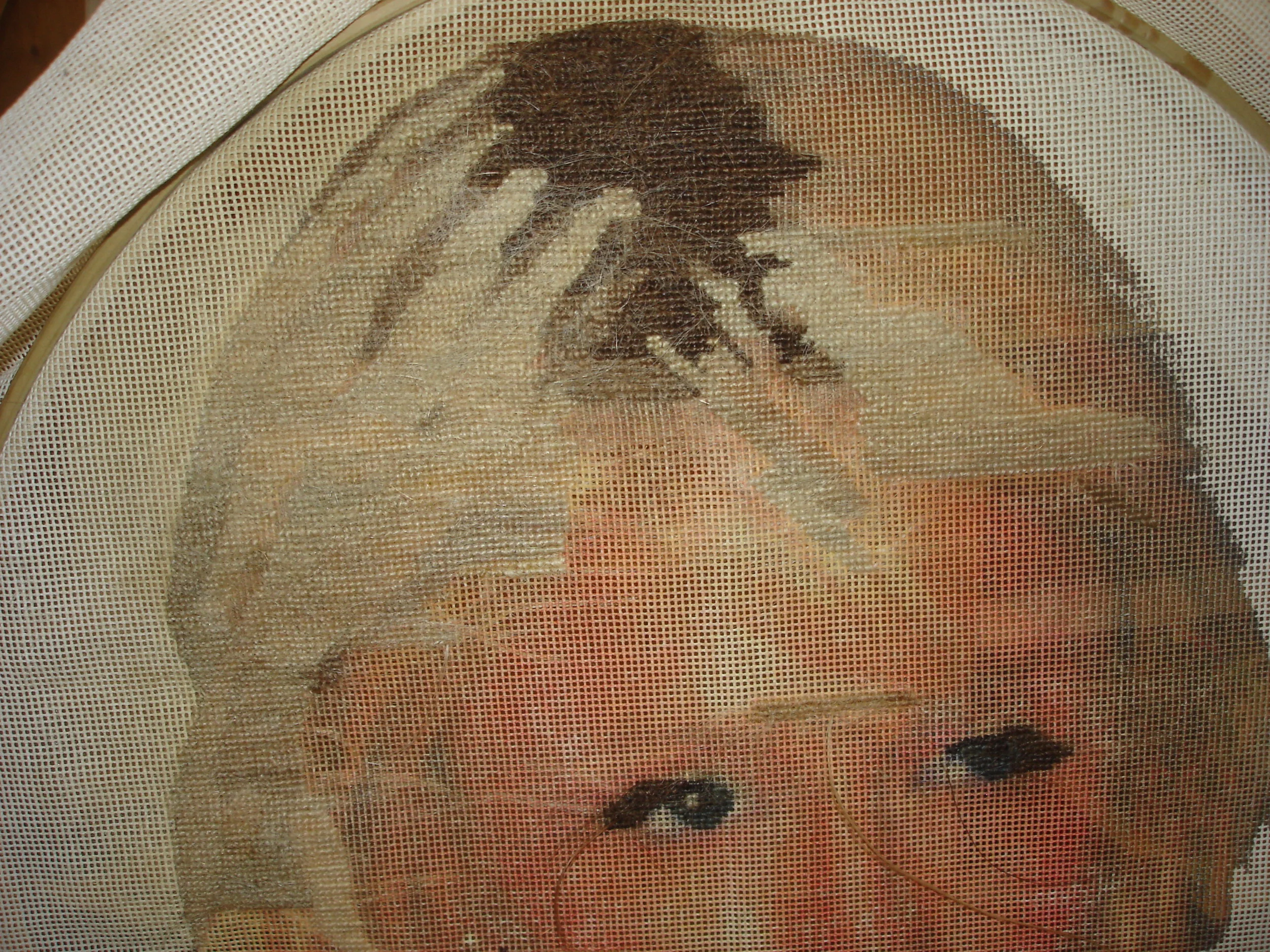 DSC00273.JPG