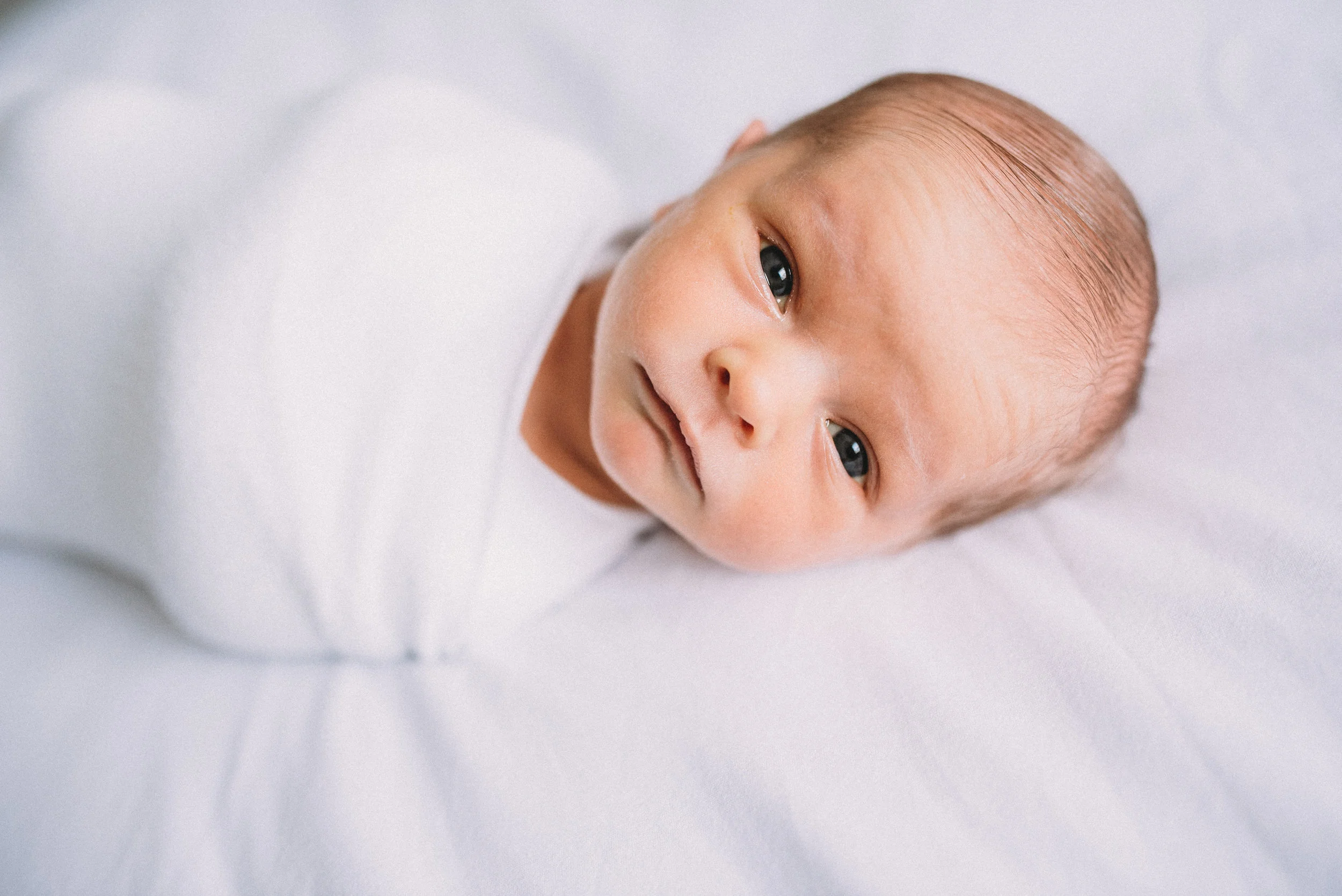 Frandsen Family | Utah Newborn Lifestyle Photography | Amber Prusse Photography e