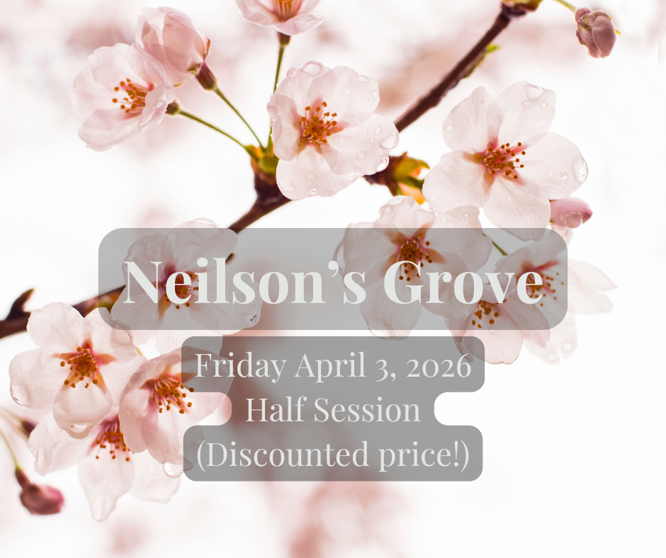 Copy of Big Springs Park.png