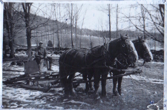 Ernest with his team and tank sleigh to gather the sap