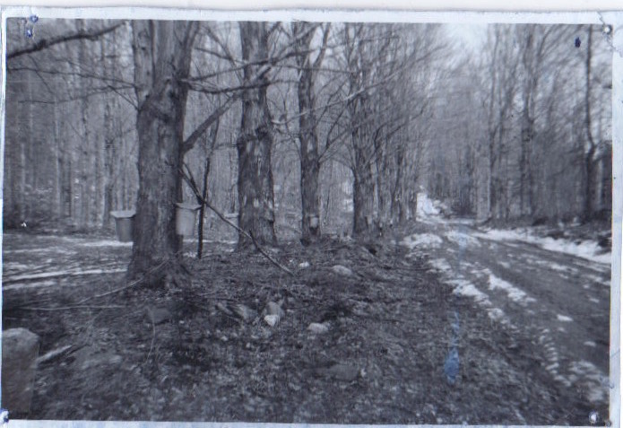 Golf Course road in past.jpeg